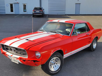 decoration ford mustang bande